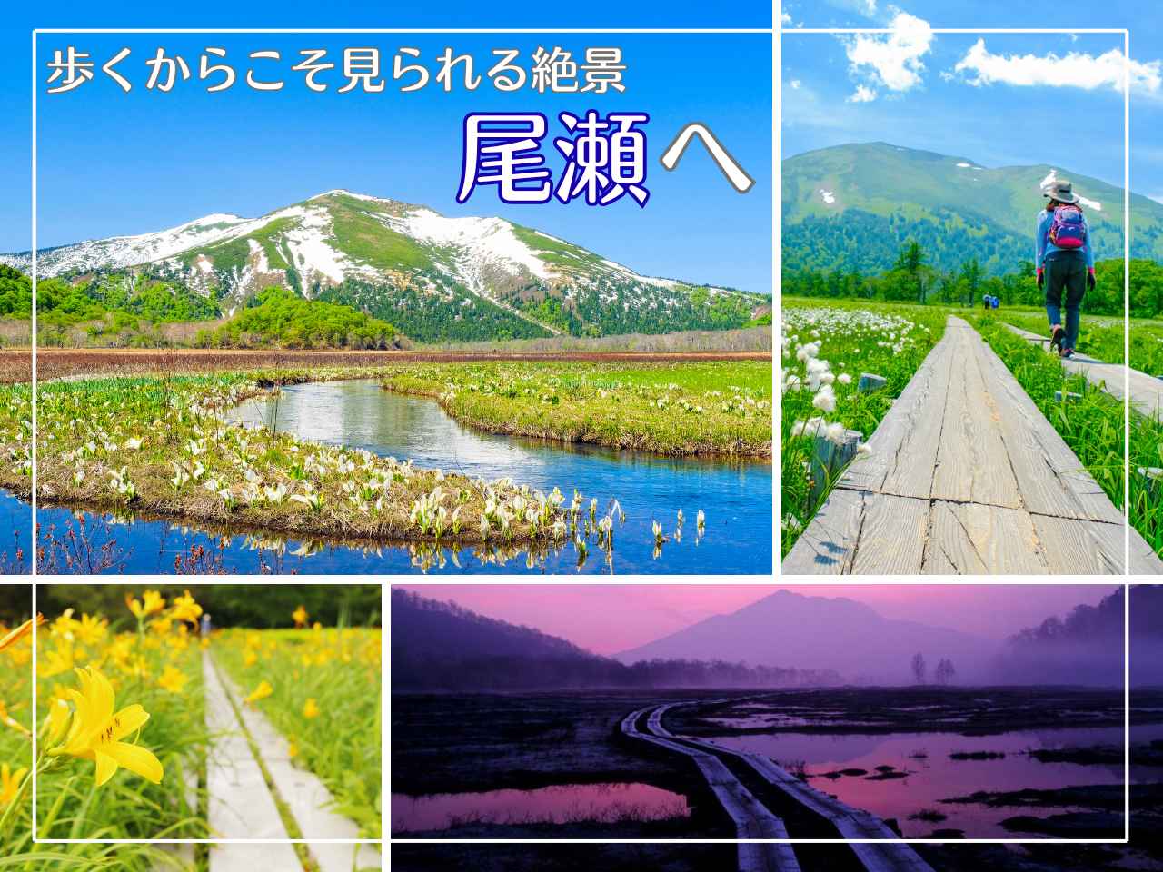 画像: 歩くからこそ見られる、息を呑む美しい絶景　尾瀬へ＜ハイキング・ウォーキングの旅＞ - クラブログ ～スタッフブログ～｜クラブツーリズム