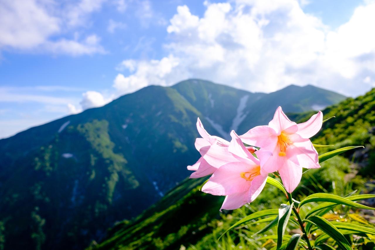 画像1: 田代山（1,971ｍ）│初級レベル│花の百名山
