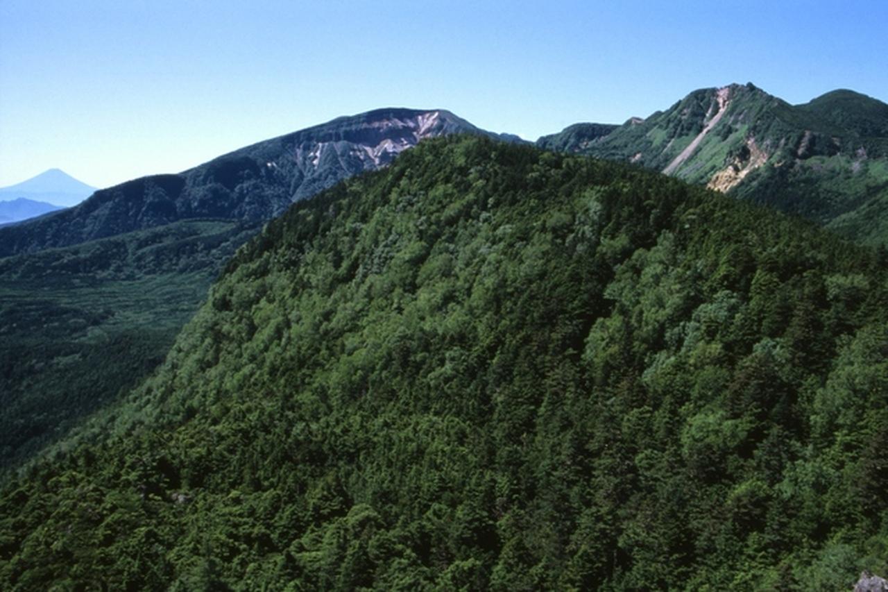 画像: にゅうからの眺め。左側奥に富士山も見えています(イメージ　天候により富士山が見られない場合があります)
