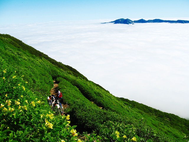 画像: ＜登山初級B＞『お花畑が一面に広がる大雪山・富良野の花シーズンにご案内　大雪山最高峰・旭岳とチングルマ咲く裾合平・黒岳　3日間』【羽田空港出発】｜クラブツーリズム