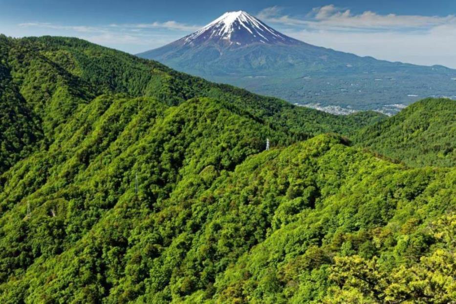 画像: ＜登山初級A＞『迫力ある富士山の大パノラマを望む好展望地　三ツ峠山・開運山』【新宿・立川・八王子出発】｜クラブツーリズム