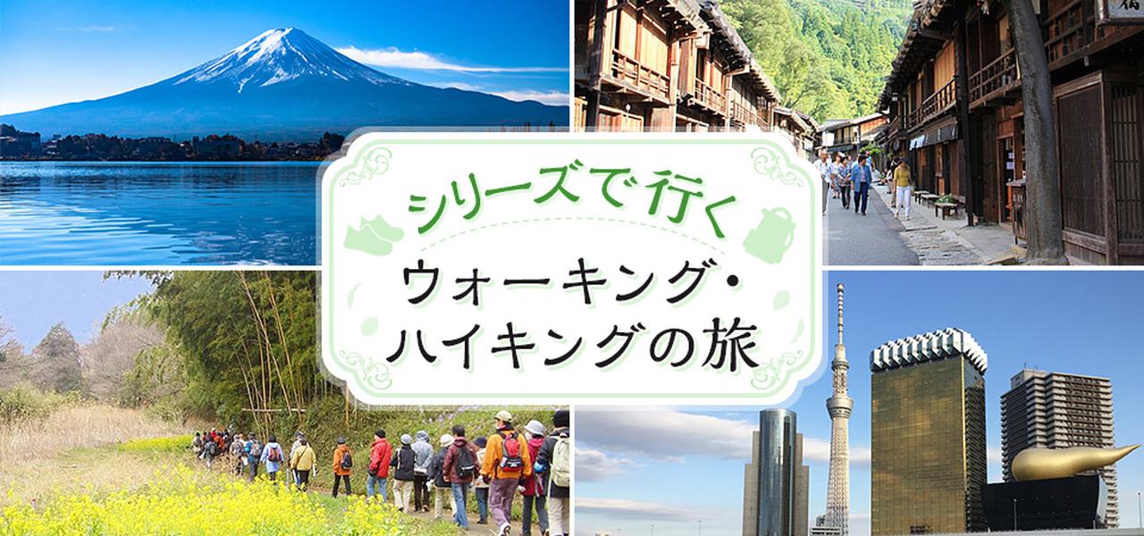 画像: シリーズで行く ウォーキング・ハイキングの旅【関東発】│クラブツーリズム