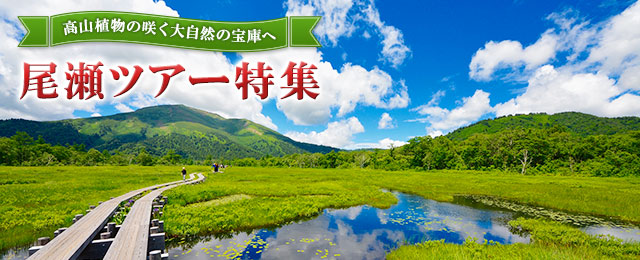 画像: 尾瀬旅行・ツアー 2026ハイキング・登山【関東発】│クラブツーリズム
