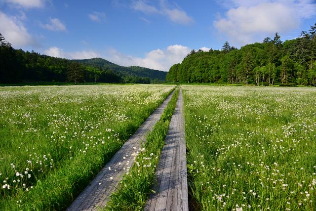 画像: ＜登山入門/縦走＞『女性限定　尾瀬温泉小屋宿泊　尾瀬通り抜けトレッキング　2日間』【東京発】｜クラブツーリズム