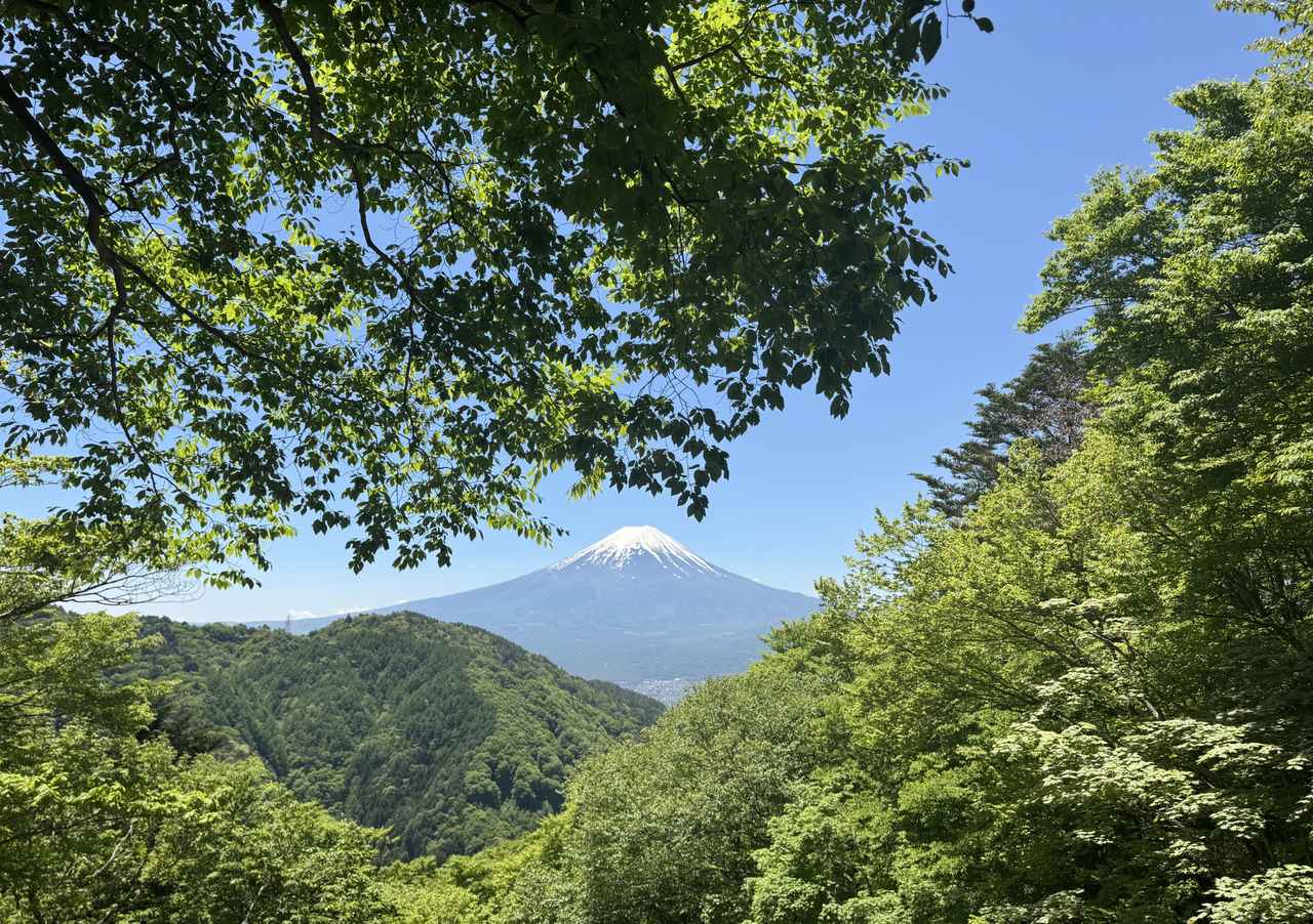 画像4: 登山道で実践!歩きながら学びます