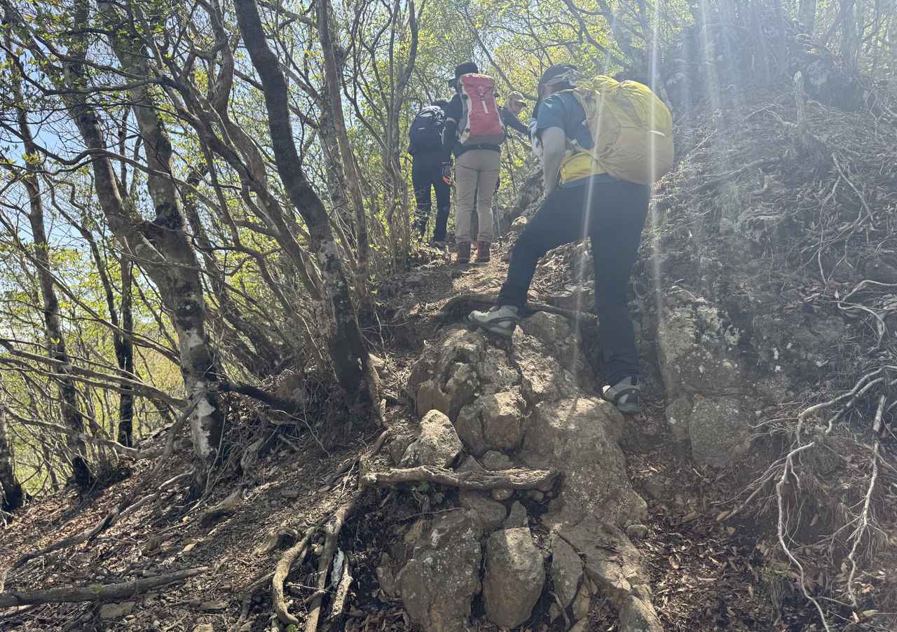 画像5: 登山道で実践!歩きながら学びます