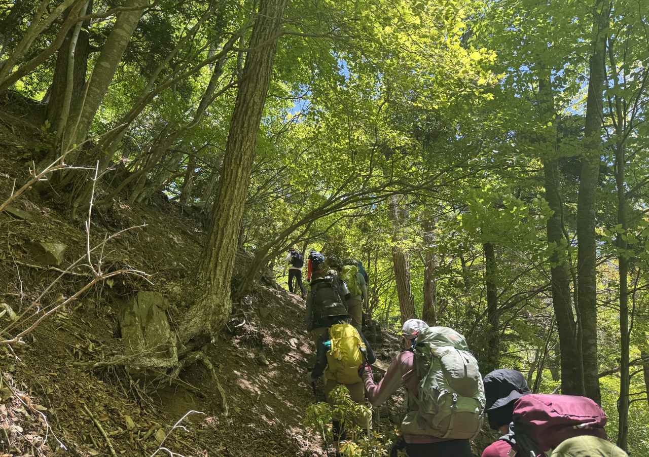 画像3: 登山道で実践!歩きながら学びます