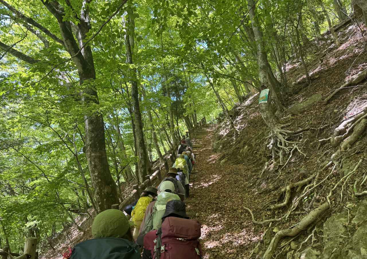 画像2: 登山道で実践!歩きながら学びます