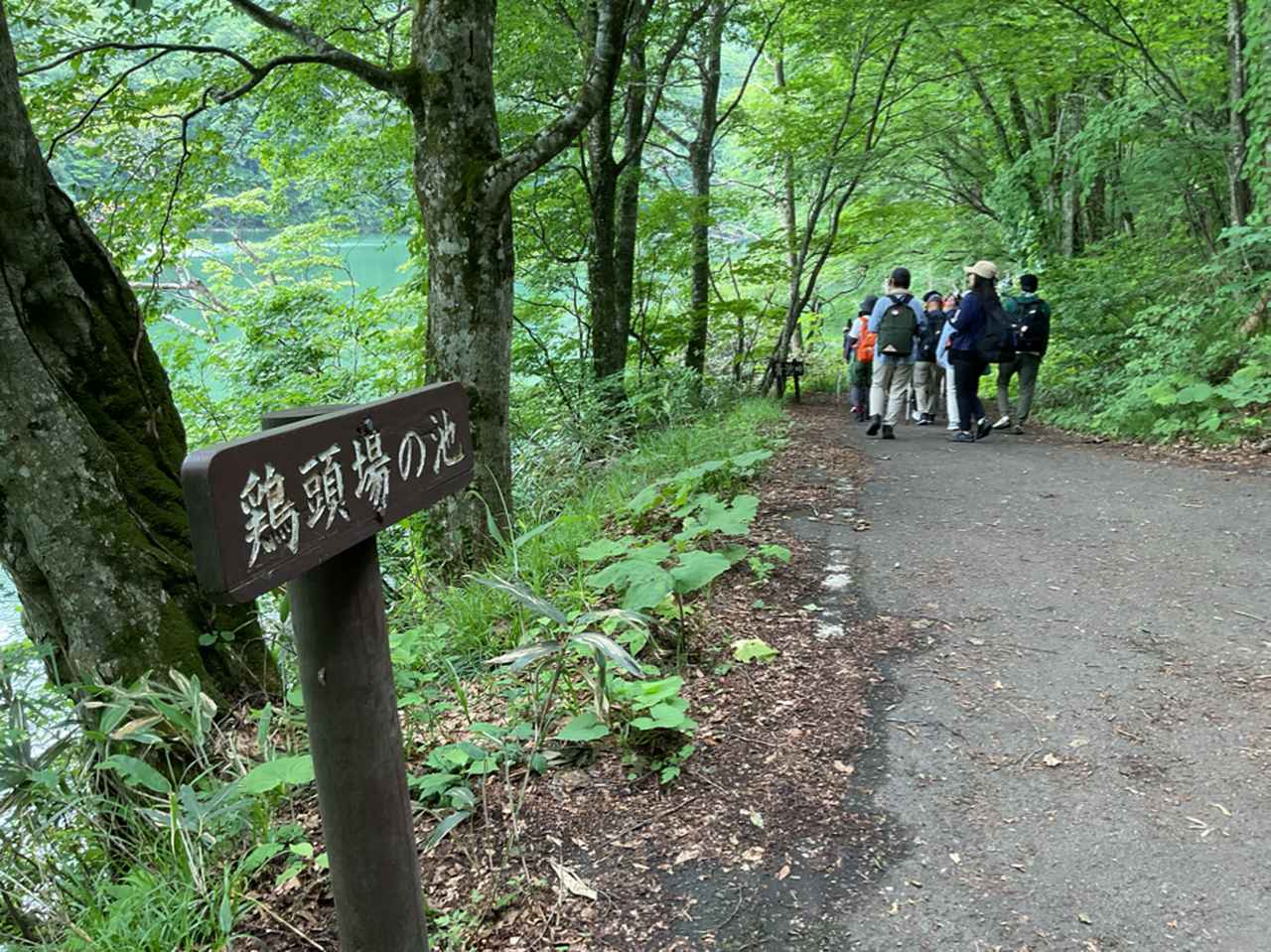 画像: 鶏頭場の池(添乗員撮影/25.06)
