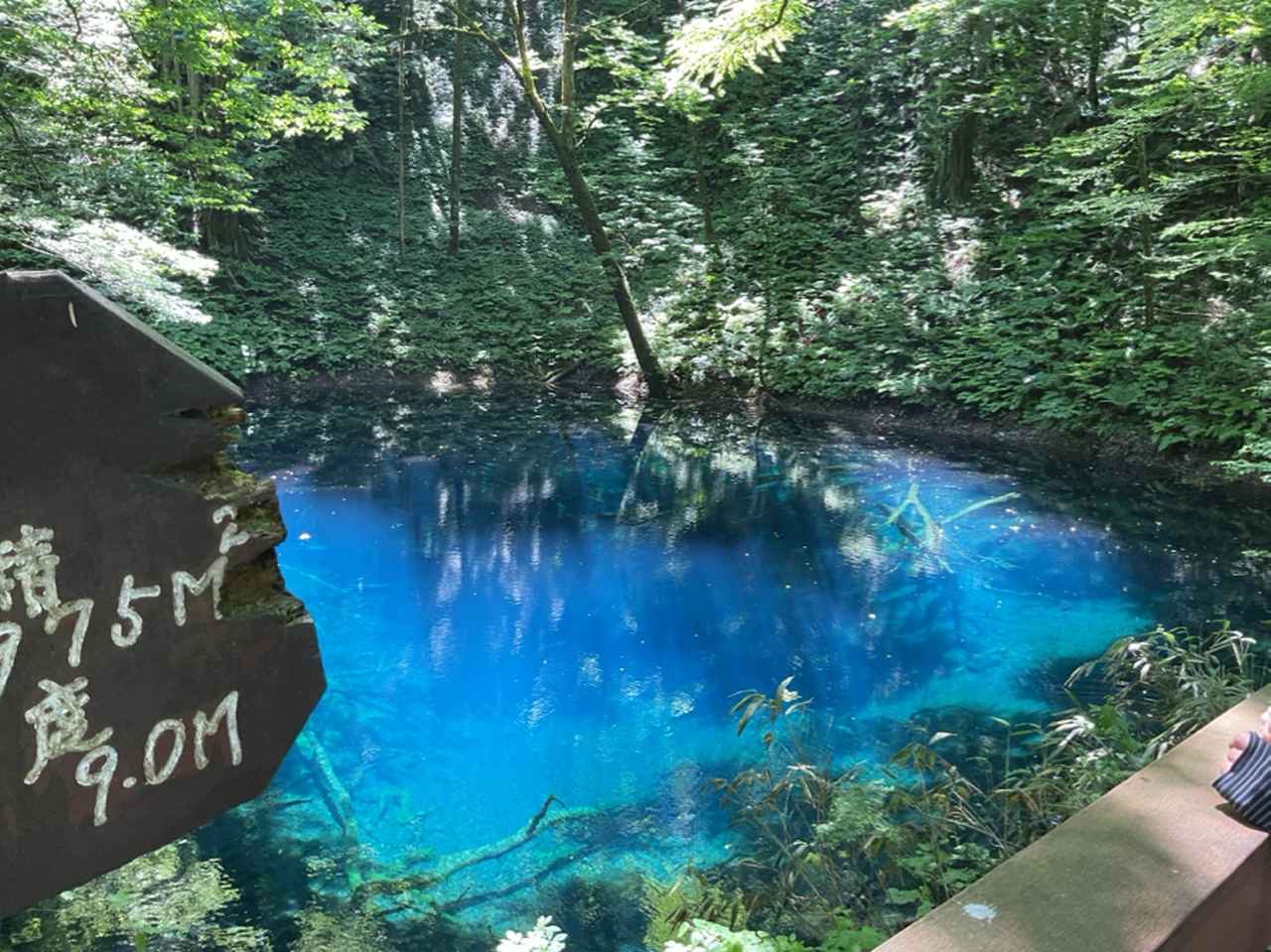 画像: 青池(添乗員撮影/25.06)