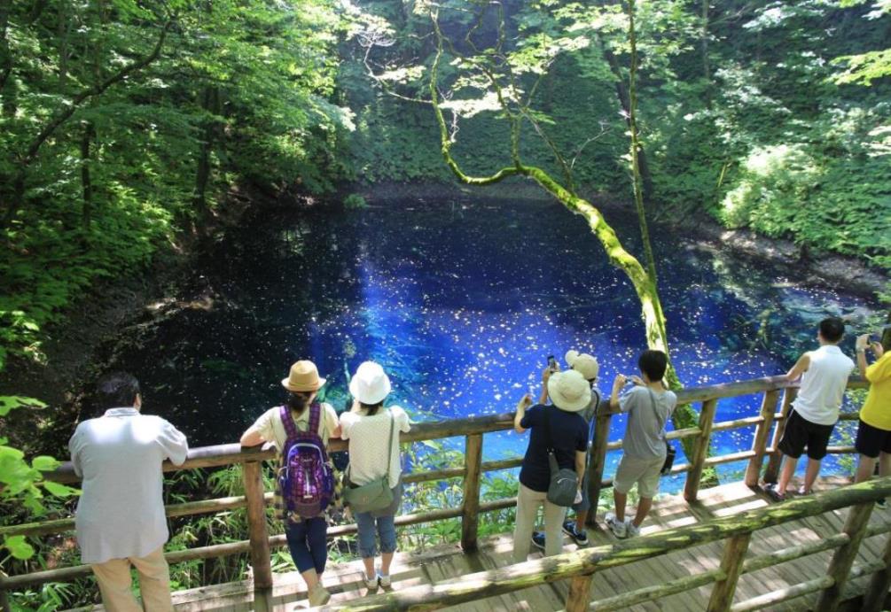 画像: <ハイク初級>『北東北周遊ハイキング決定版!白神山地十二湖・八幡平と奥入瀬渓流ハイキング 3日間』|クラブツーリズム