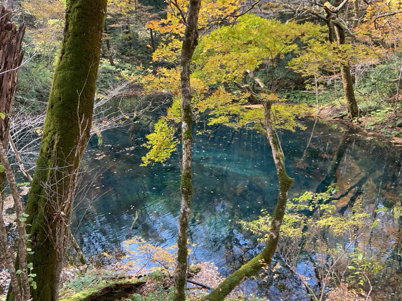 画像: 沸壺の池(添乗員撮影/25.11)