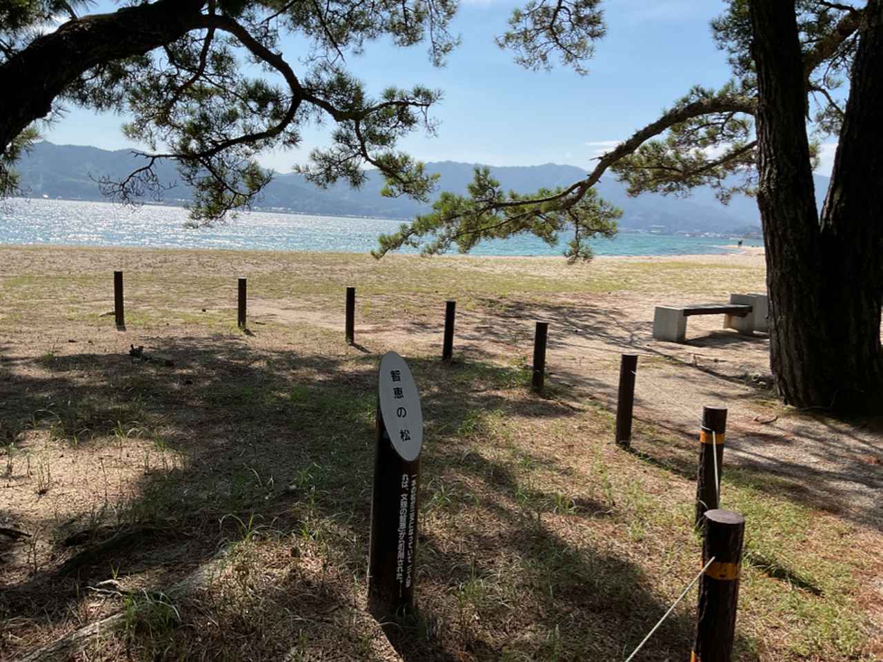 画像: 天橋立通り抜け（添乗員撮影/25.09）