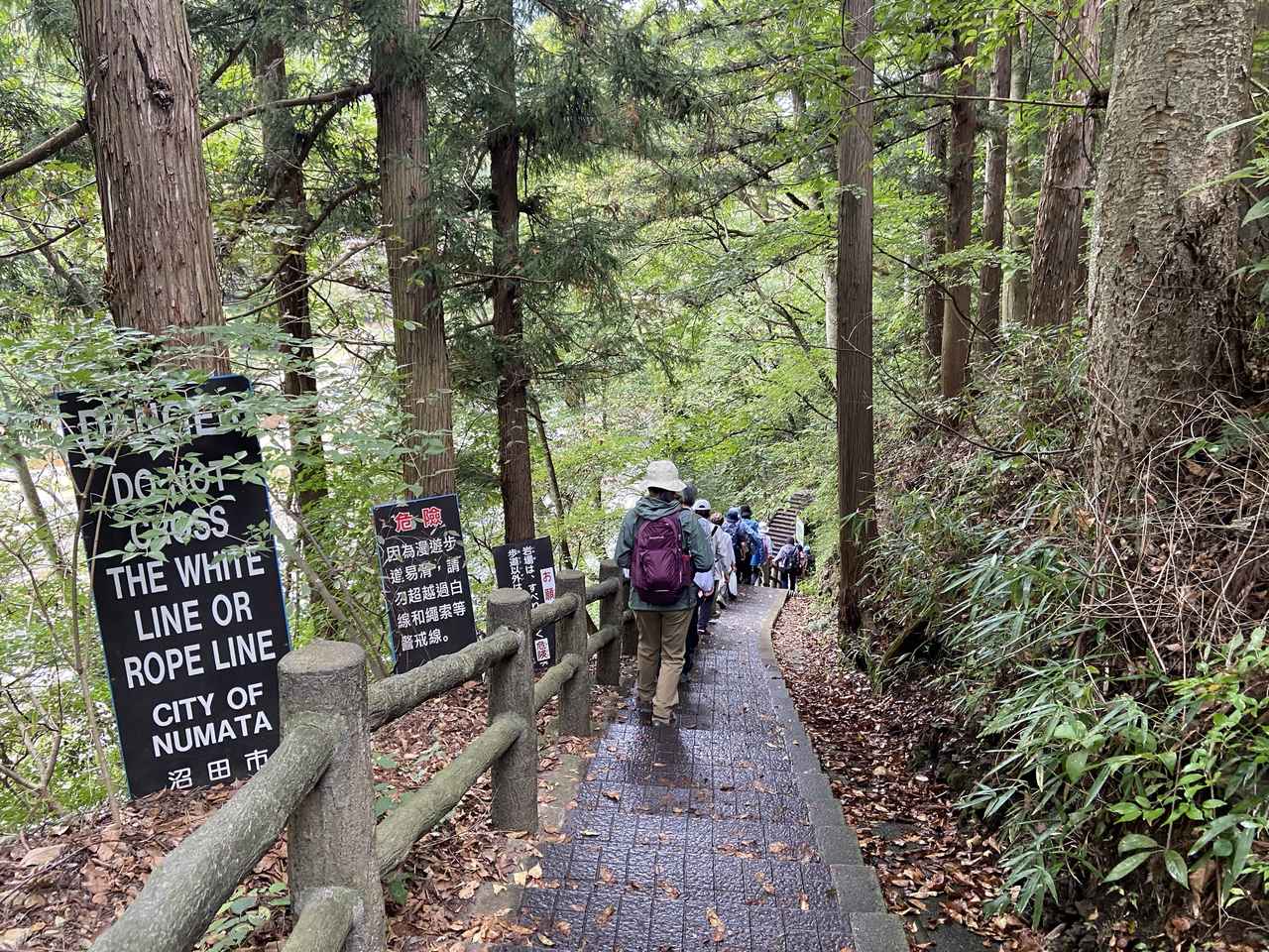 画像: 吹割の滝遊歩道（添乗員撮影/25.09）