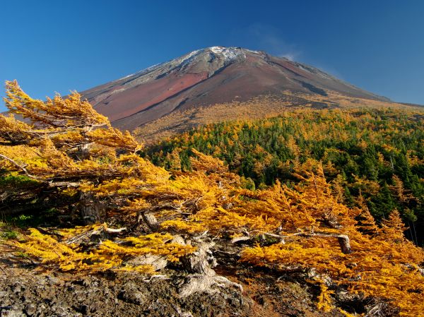 画像: ＜登山初級A＞『オリオン座流星群　富士山信仰とも縁深い歴史が残るルートをあるく　富士山中腹のお中道ルートと宝永山登山　2日間』【新大阪・京都出発】｜クラブツーリズム