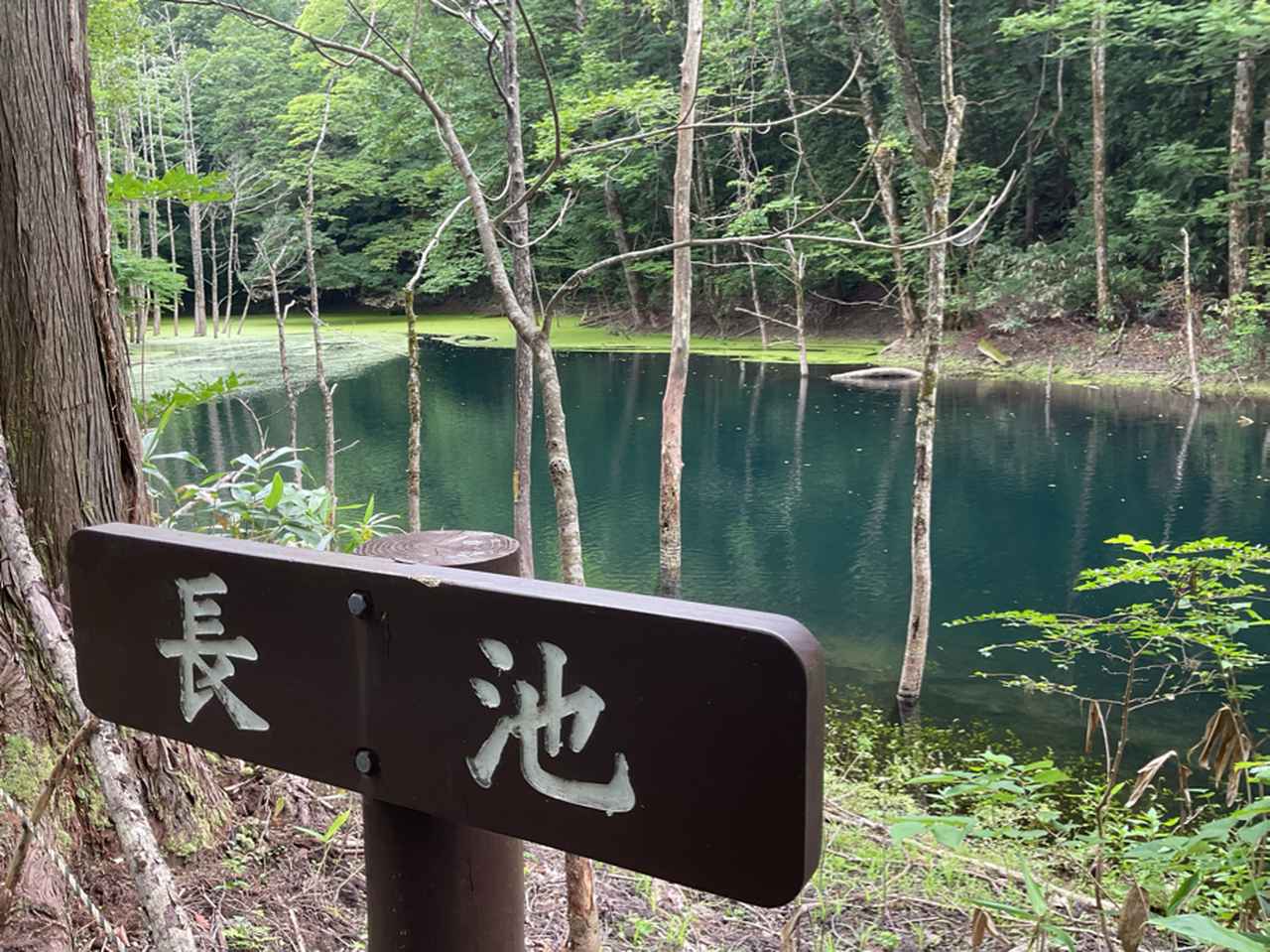 画像: 長池(添乗員撮影/25.07)