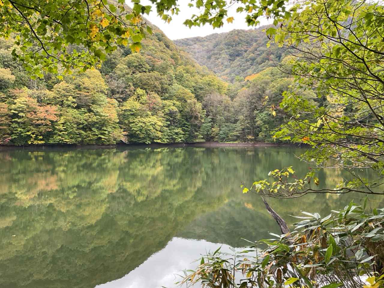 画像: 鶏頭場の池(添乗員撮影/25.10)