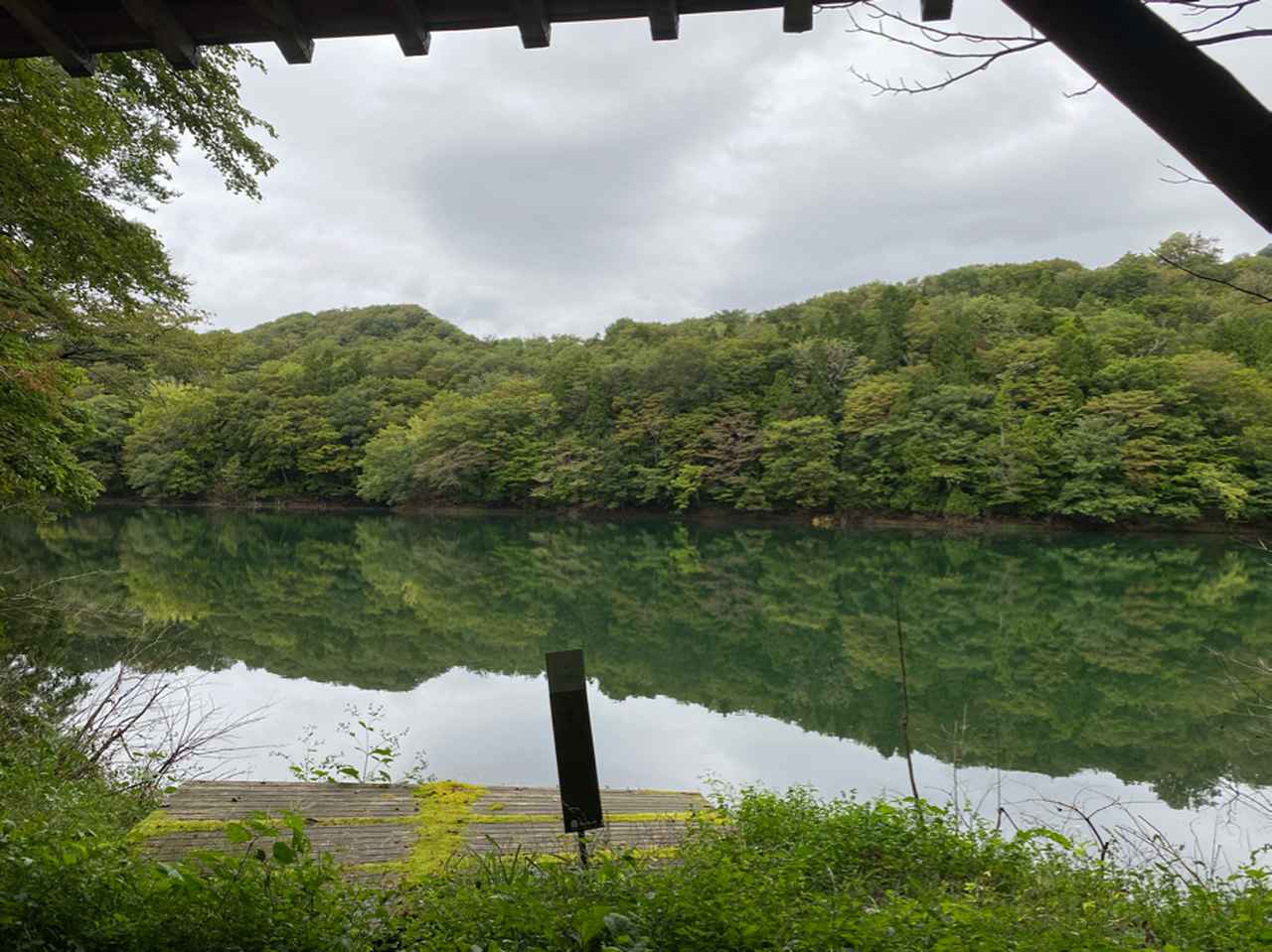 画像: 金山の池(添乗員撮影/24.09)