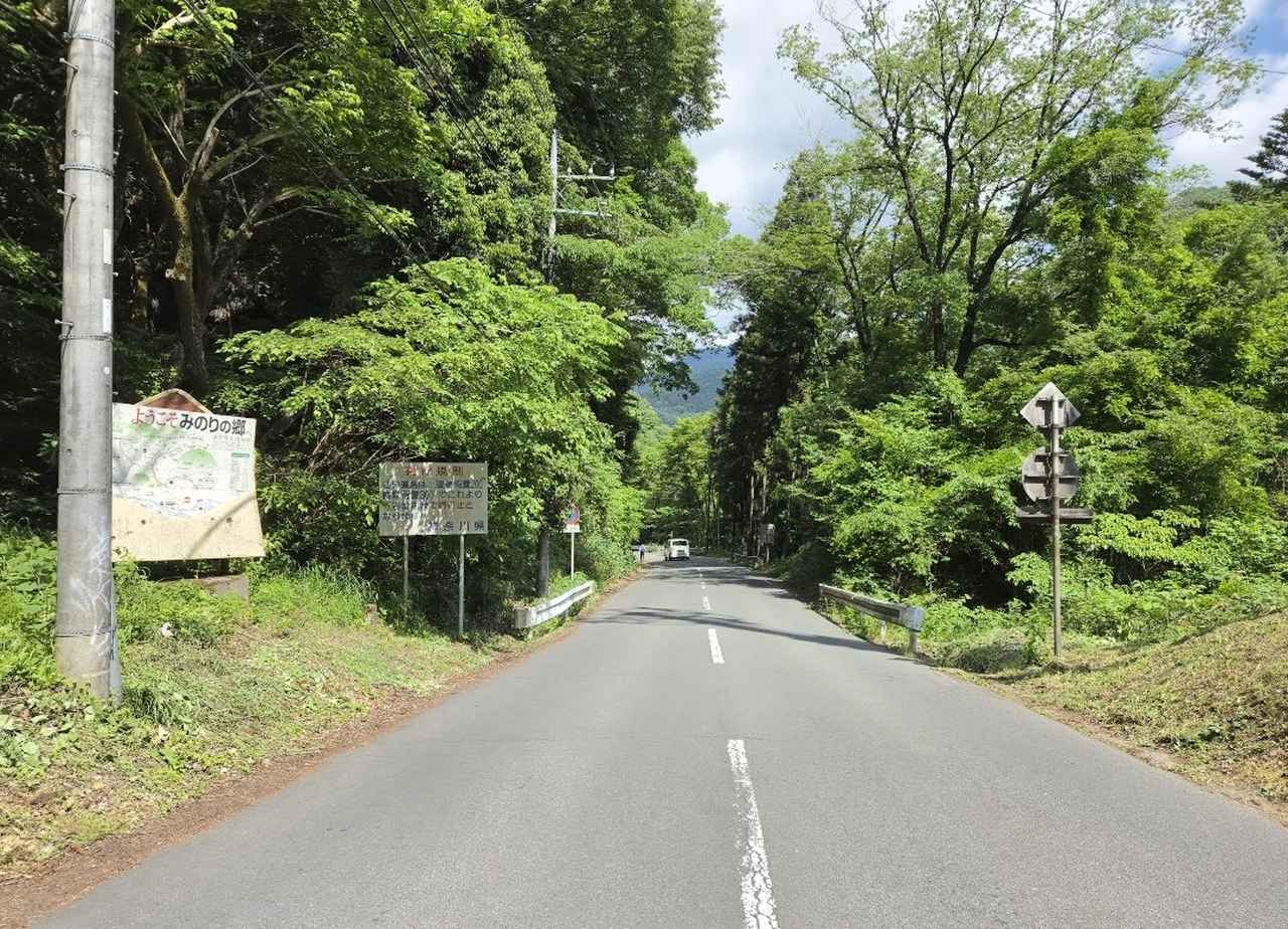 画像1: 【シリーズウォーク】<あるく・ミニハイキング> 心と身体をリフレッシュ!元森林セラピスト同行『ゆずの里・藤野でゆず胡椒づくりを楽しむ秋の森林浴ツアー』