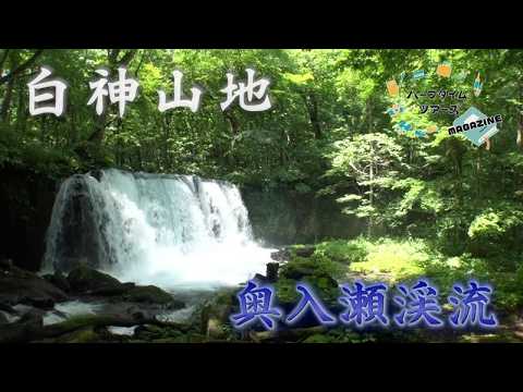 画像: 東北の大自然で癒やされる 白神山地と奥入瀬渓流ハイキングツアーをご紹介! www.youtube.com