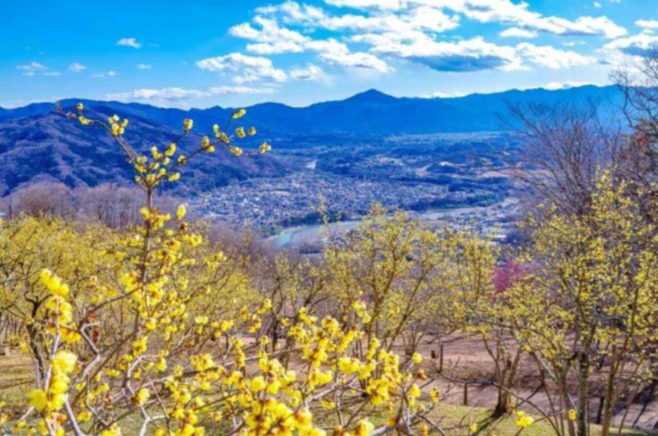 画像: 宝登山山頂からの眺望