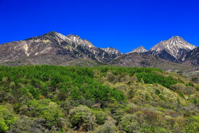 画像: ＜ハイク初級＞『森・川・牧草地を抜ける八ヶ岳の絶景　美し森から天女山へ』【選べる出発地】｜クラブツーリズム
