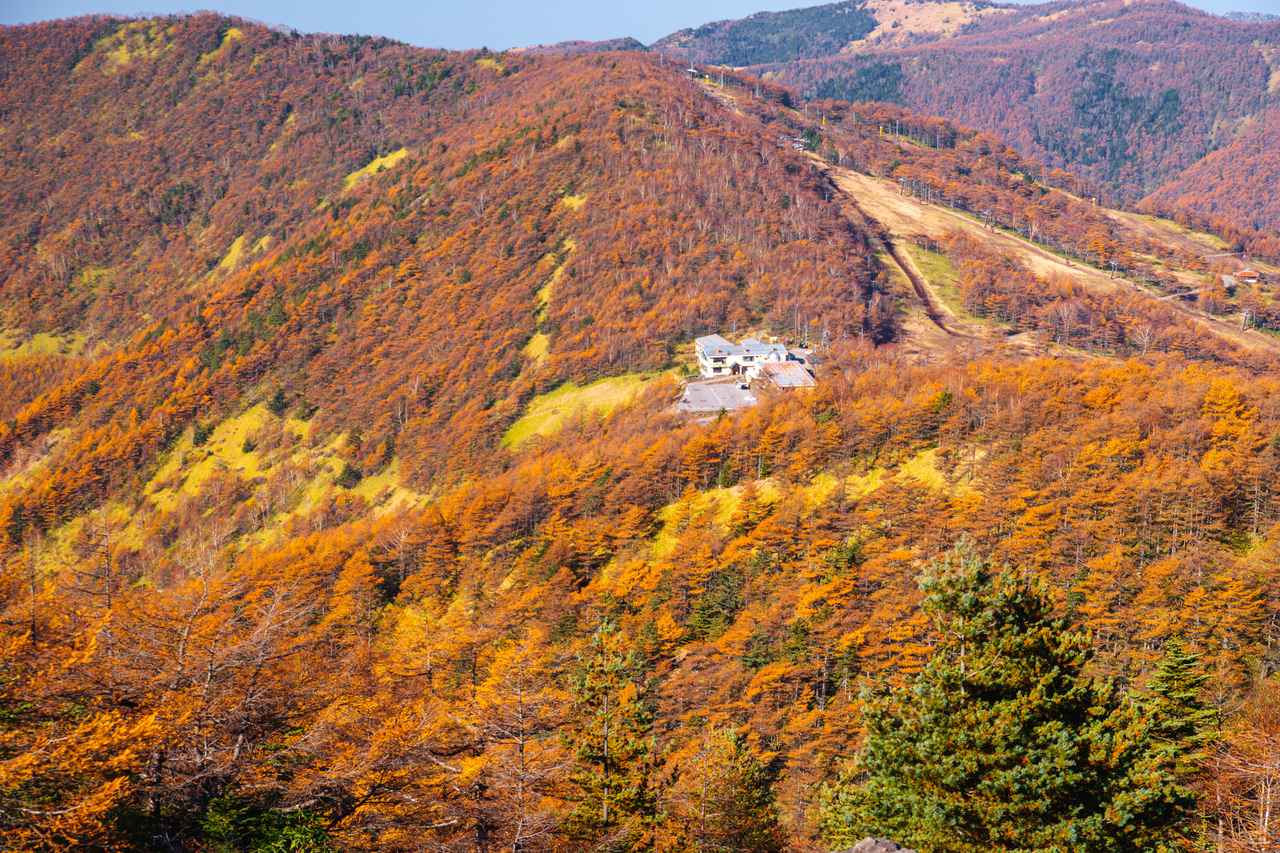 画像: ※紅葉の見頃：例年10月上旬～11月上旬