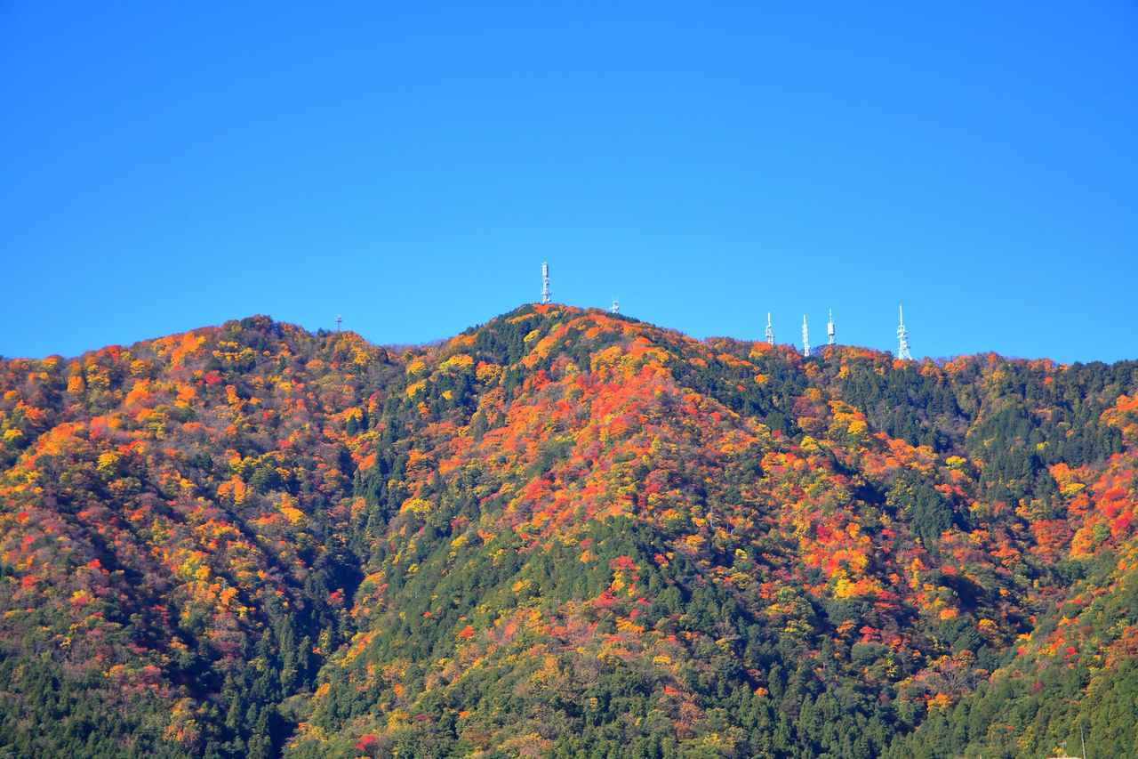 画像: ※紅葉の見頃：例年10月中旬～11月上旬