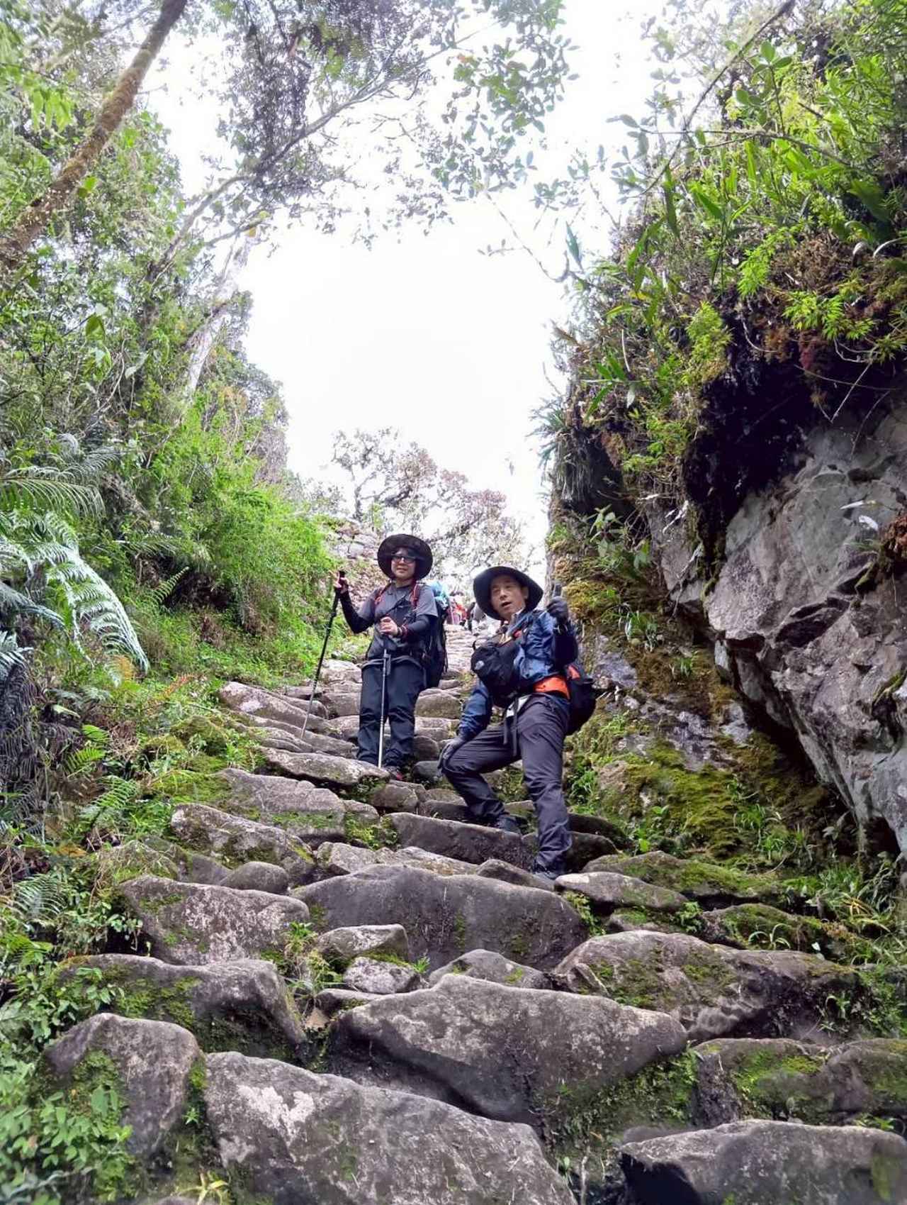 画像2: 【3日目】感動の「インカ道」をあるく＜登山初級B＞ 歩行：約12km／約5時間30分／標高差：約600m