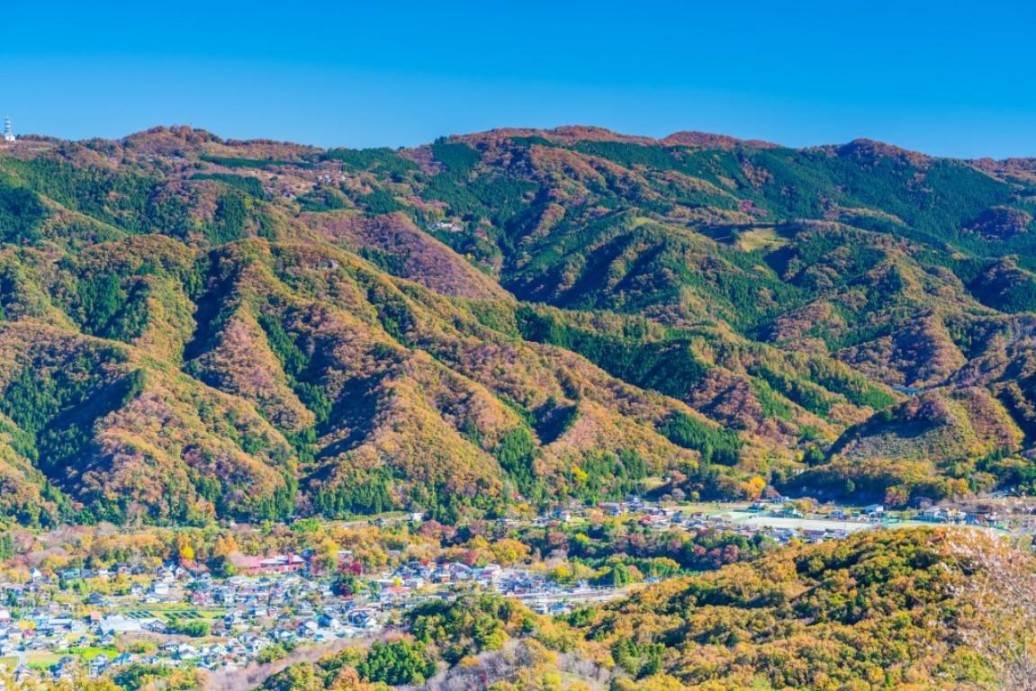 画像: 【女性限定】＜登山入門（縦走）＞『楽低山シリーズ　黄金色のロウバイが彩る、ひと足早い春さんぽ　宝登山』【秩父鉄道・野上駅集合】｜クラブツーリズム