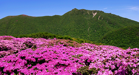 画像: 西日本の日本百名山の登山ツアー・旅行│クラブツーリズム