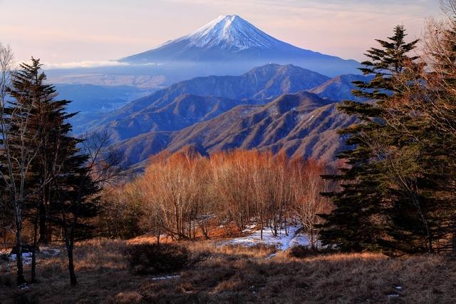 画像: ~佐藤威行ガイドと行く山旅~『知られざる名山へ!山梨百名山シリーズ』|クラブツーリズム