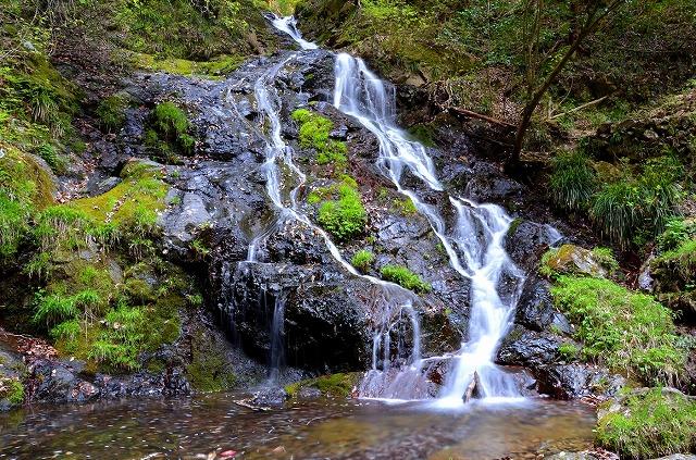 画像: <登山初級A/縦走>『登って温泉楽しみ隊<5月>白岩の滝から日出山』 【武蔵五日市駅集合】|クラブツーリズム