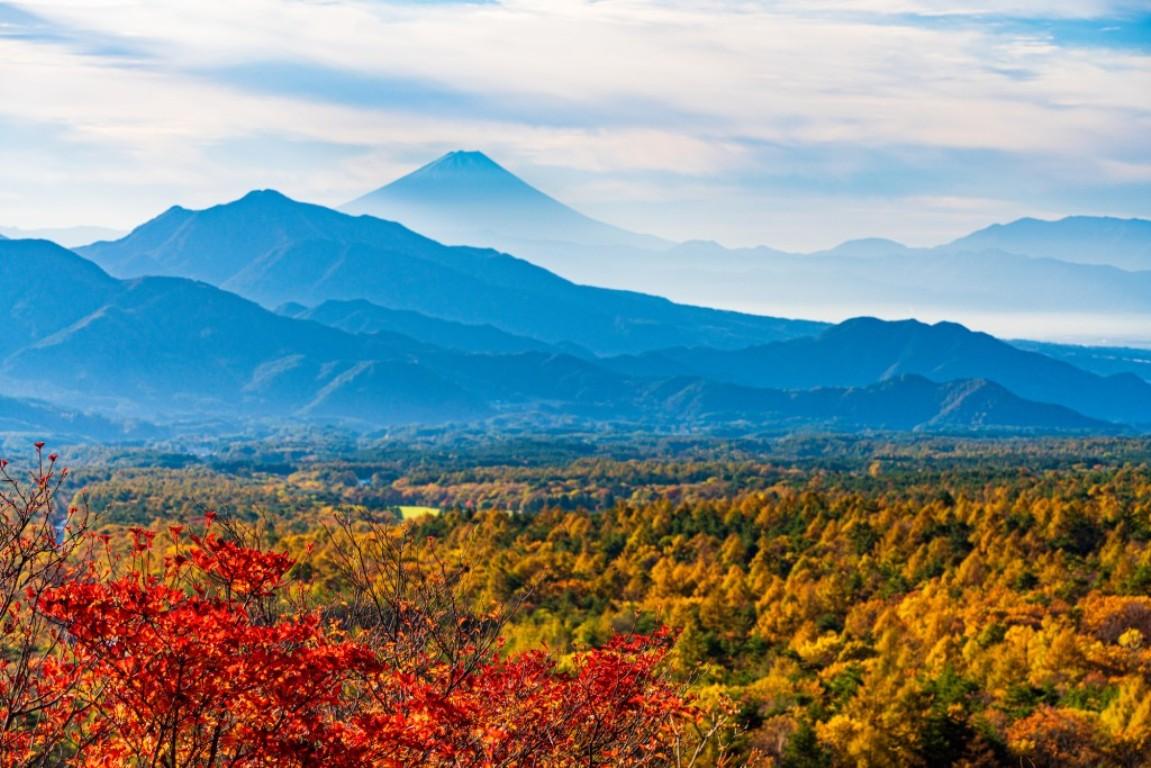 画像: ＜ハイク初級＞『森・川・牧草地を抜ける八ヶ岳の絶景　美し森から天女山へ』【選べる出発地】｜クラブツーリズム