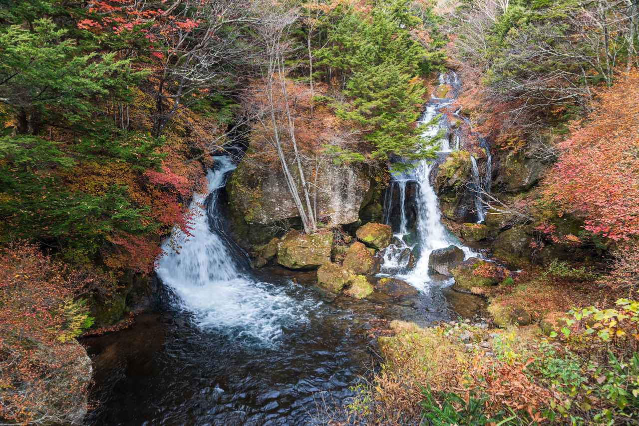 画像: 日光・竜頭の滝（イメージ）