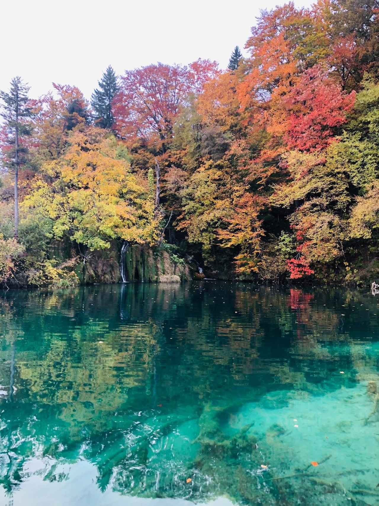画像1: 昨年１０月に佐藤添乗員が撮影
