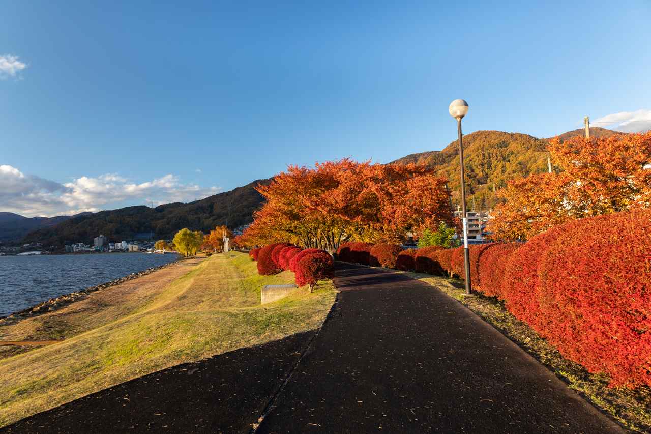 画像: 紅葉の諏訪市湖畔公園（イメージ）
