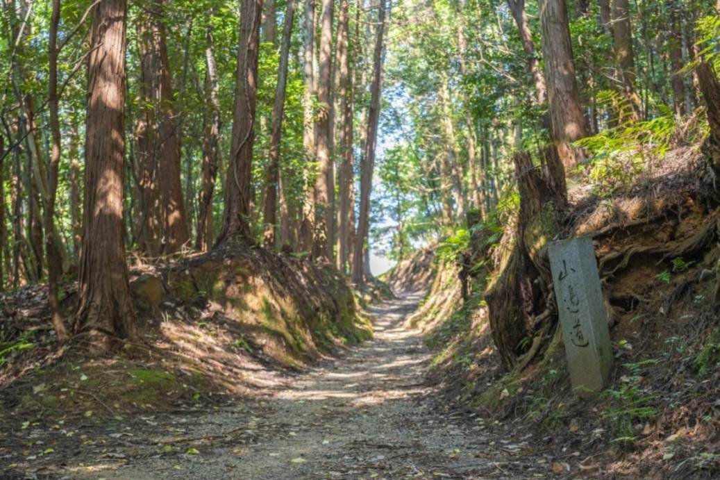 画像: <ウォーキング>『万葉集ゆかりの地や伝説が残る古道あるき 山の辺の道をあるく 3日間』【東京駅出発】|クラブツーリズム