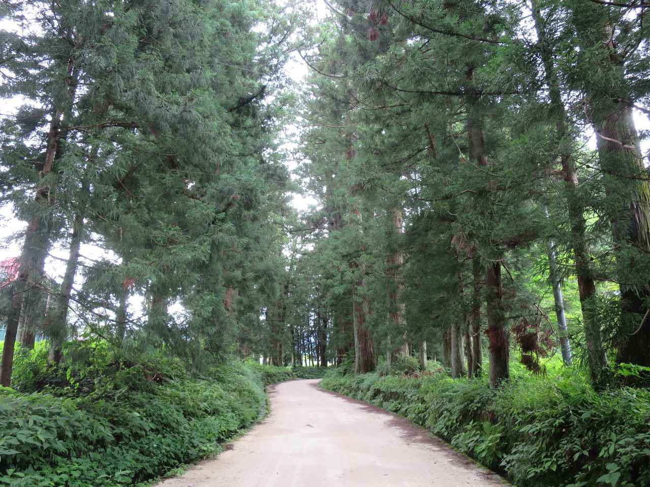 画像: 【街道あるき】【甲州街道をあるく・日光街道をあるく・奥州街道をあるく 】ツアー残席状況のご案内＜7月25日更新＞ - クラブログ ～スタッフブログ～｜クラブツーリズム