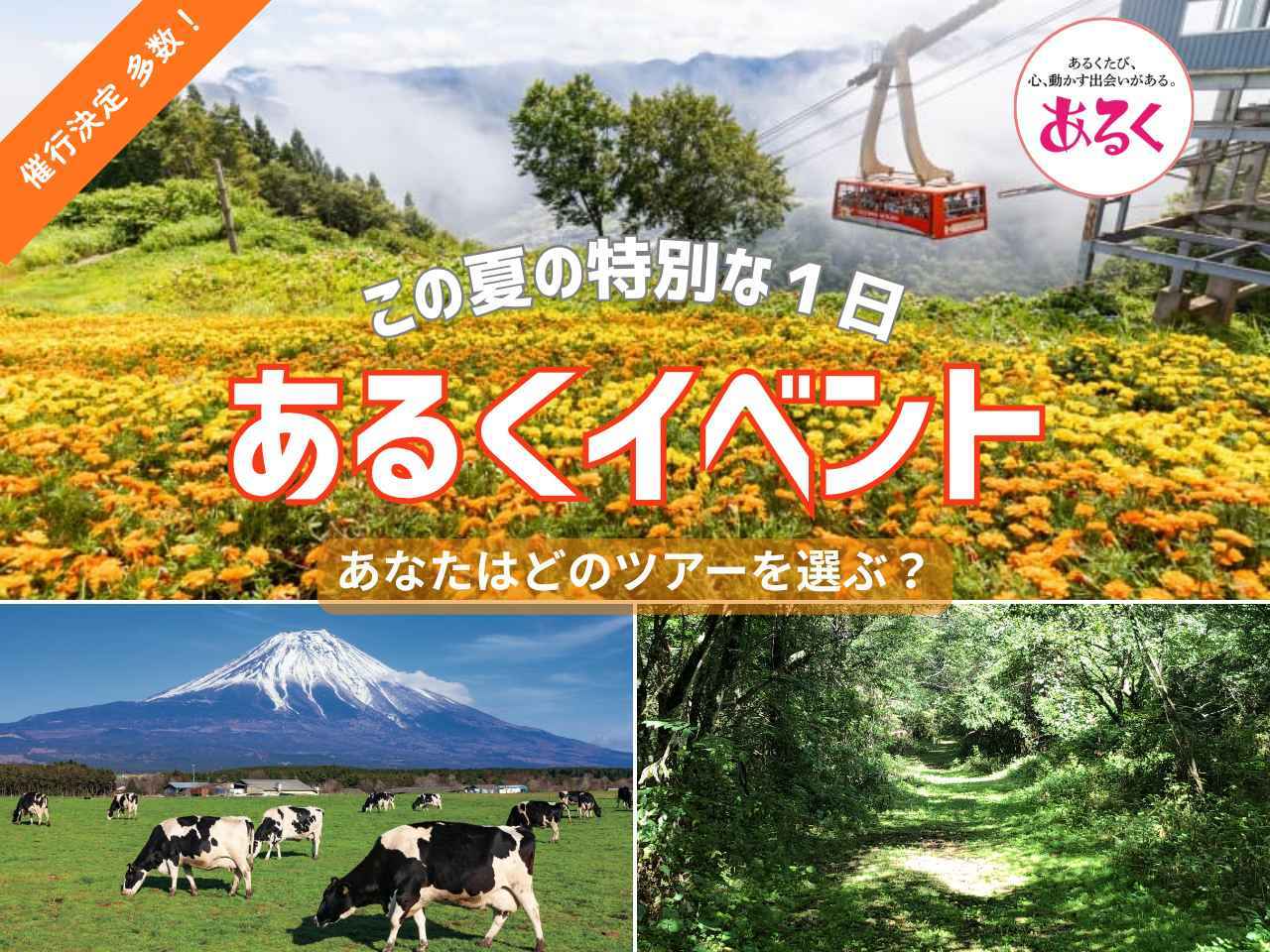 画像: 涼しげな高原の風、空気に触れる。この夏、“あるく”がもっと楽しくなる。＜ハイキング・ウォーキングの旅＞ - クラブログ ～スタッフブログ～｜クラブツーリズム