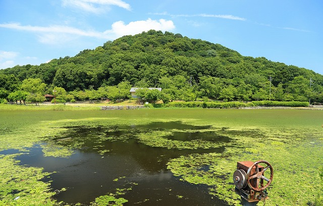 画像: ＜登山入門＞『飛鳥・藤原の宮都関連資産群も見学　万葉集ゆかりの大和三山　香具山・畝傍山・耳成山　2日間』【東京・品川・新横浜出発】｜クラブツーリズム