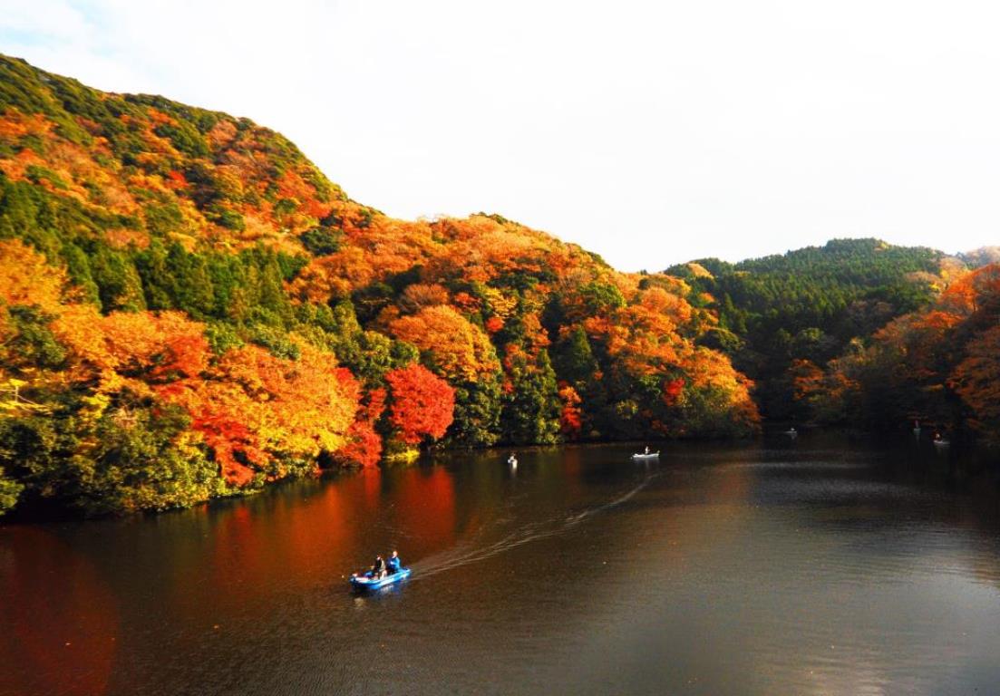 画像: 【早期予約割引】＜ウォーキング＞『紅葉の亀山湖ウォーキングと東京ドイツ村イルミネーション2026』【選べる出発地】｜クラブツーリズム