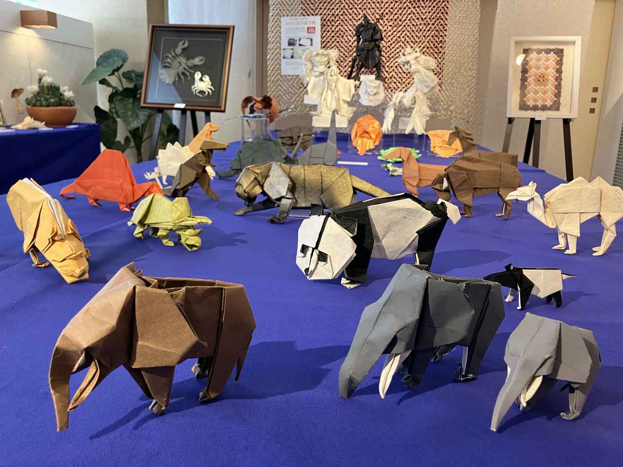 画像6: 【シリーズウォーク】＜あるく・ウォーキング＞　
『季節で巡る日本庭園シリーズ　紅葉に包まれる名園　小石川後楽園さんぽツアー』