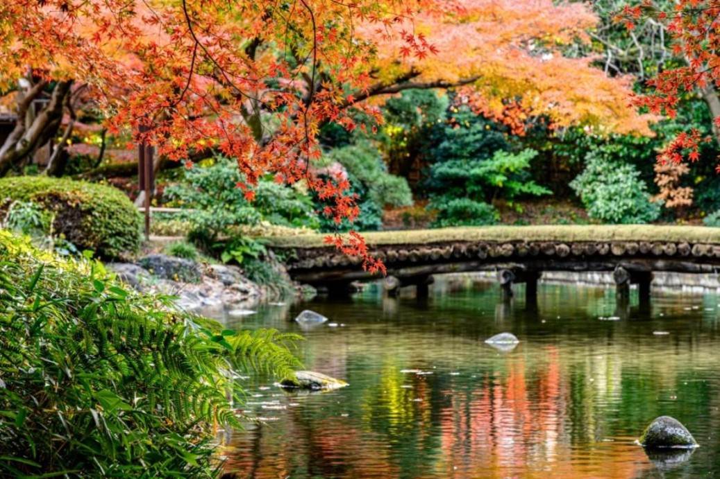 画像1: ＜ウォーキング＞『季節で巡る日本庭園シリーズ　紅葉に包まれる名園　小石川後楽園さんぽ』【JR飯田橋駅東口改札前集合】｜クラブツーリズム