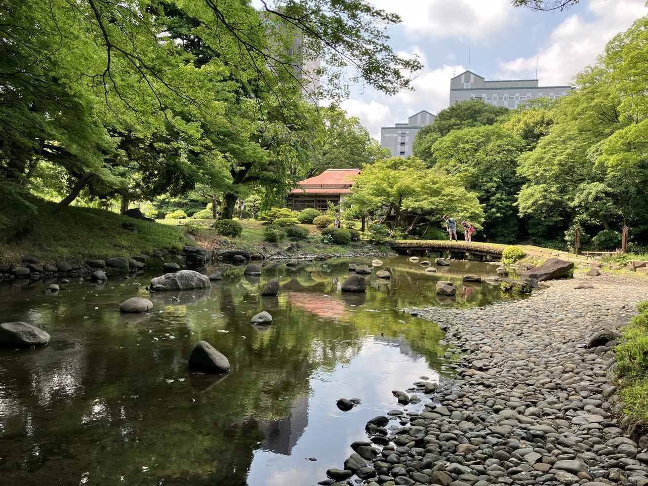 画像7: 【シリーズウォーク】＜あるく・ウォーキング＞　
『季節で巡る日本庭園シリーズ　紅葉に包まれる名園　小石川後楽園さんぽツアー』