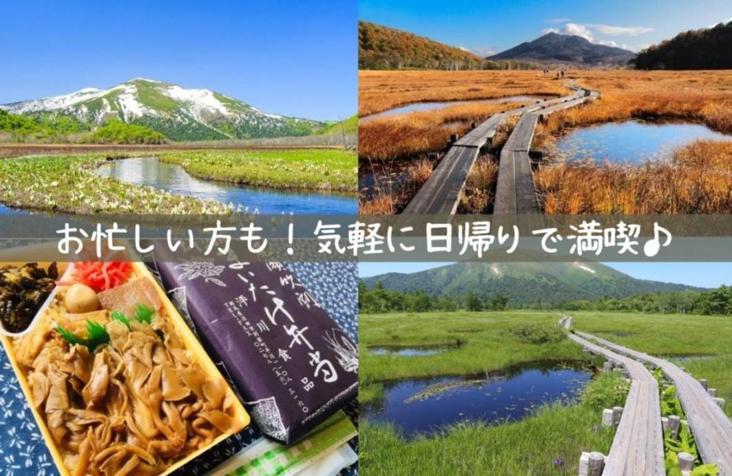 画像: ＜ハイク初級＞『気軽に日帰りで！ ガイドとめぐる尾瀬ハイキング　約5時間滞在』【東京出発】｜クラブツーリズム