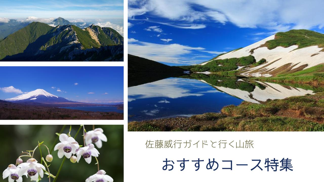画像: ガイド企画!おすすめ登山ツアーをご紹介 ~佐藤威行ガイドと行く山旅~ - クラブログ ~スタッフブログ~|クラブツーリズム