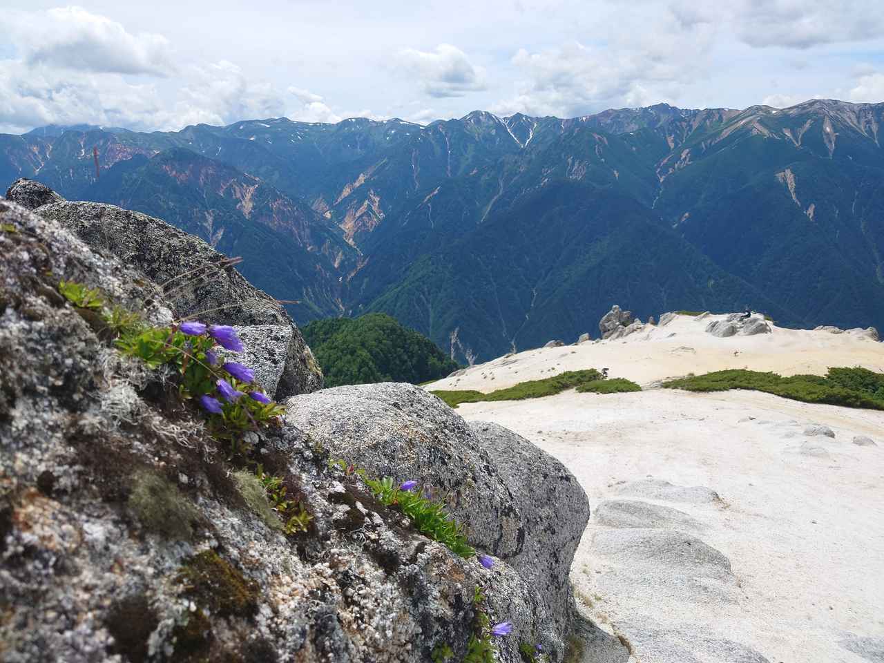 画像: 燕岳山頂付近に咲く花と遠くの山々