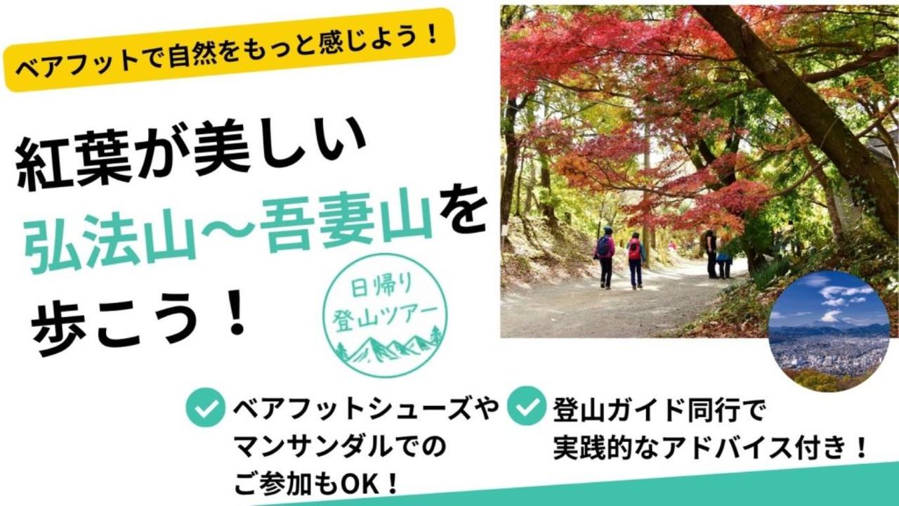 画像: ＜登山入門（縦走）＞『足元は自由に楽しもう！紅葉の弘法山～吾妻山縦走　日帰り』【小田急線・秦野駅集合】｜クラブツーリズム
