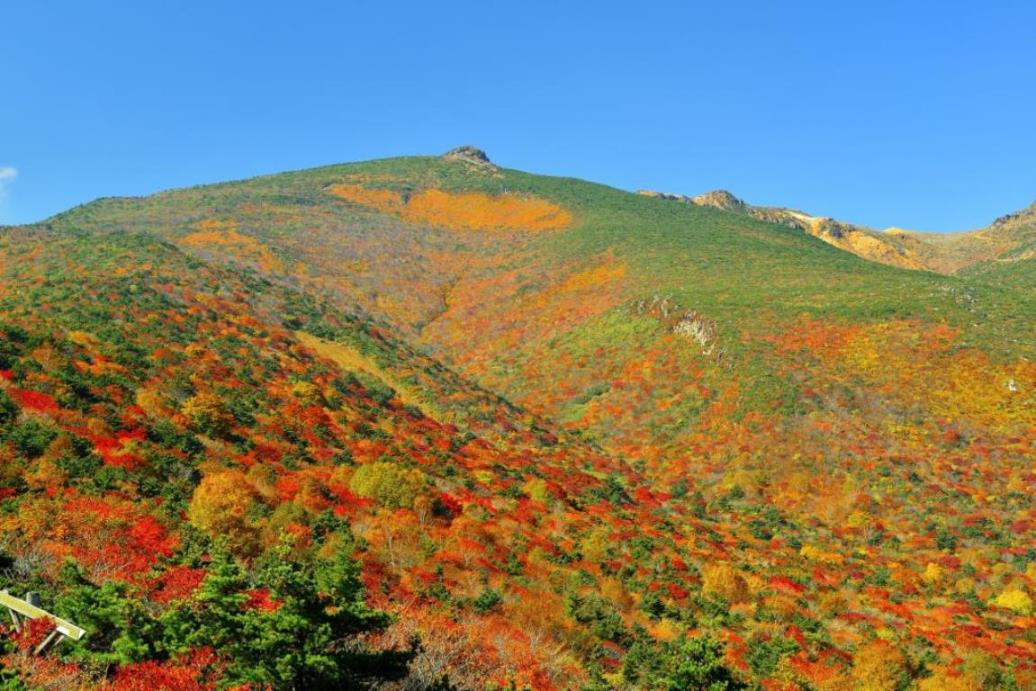 画像: ＜登山初級A＞『みちのくを代表する紅葉登山2座　日本屈指の山岳紅葉へ　安達太良山と栗駒山　2日間』【東京・上野・大宮出発】｜クラブツーリズム